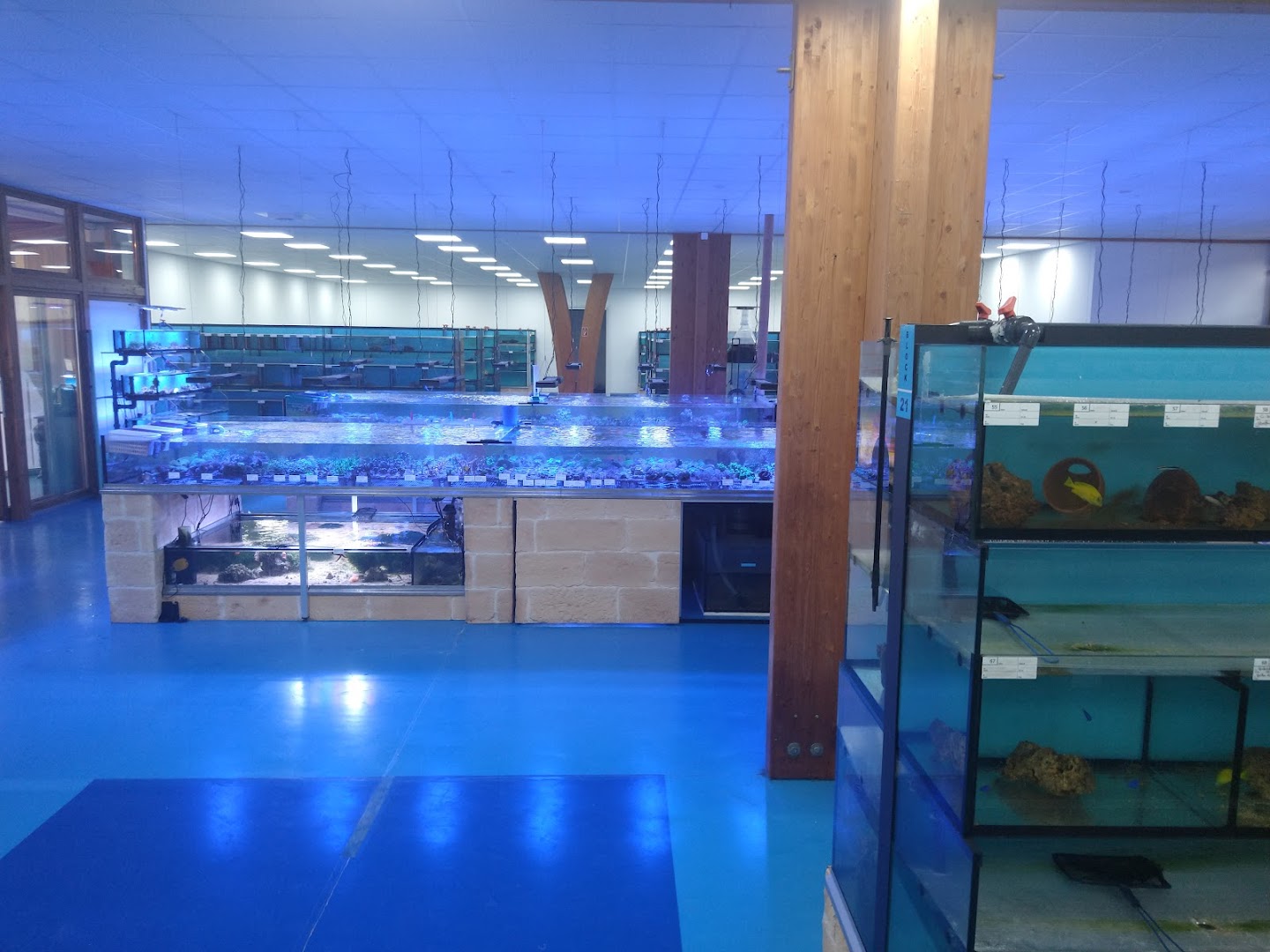 Bild von EFS Partner des Zoofachhandels