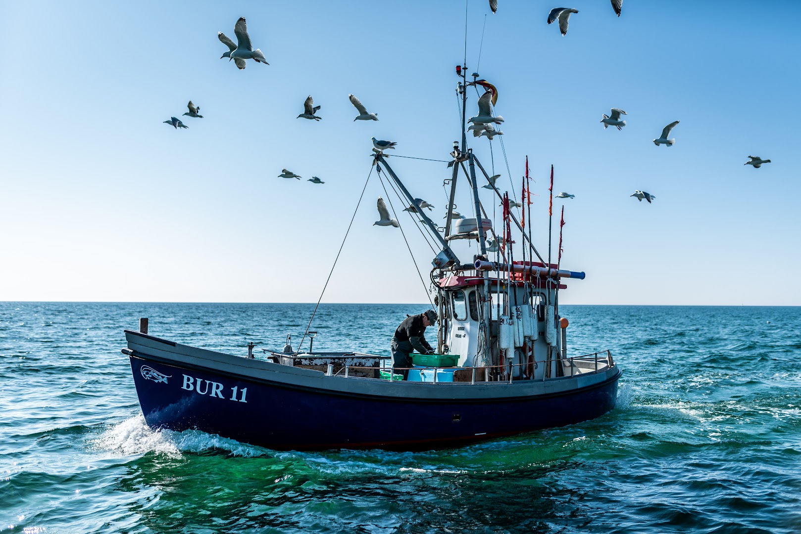 Bild von Frisch Gefischt GmbH