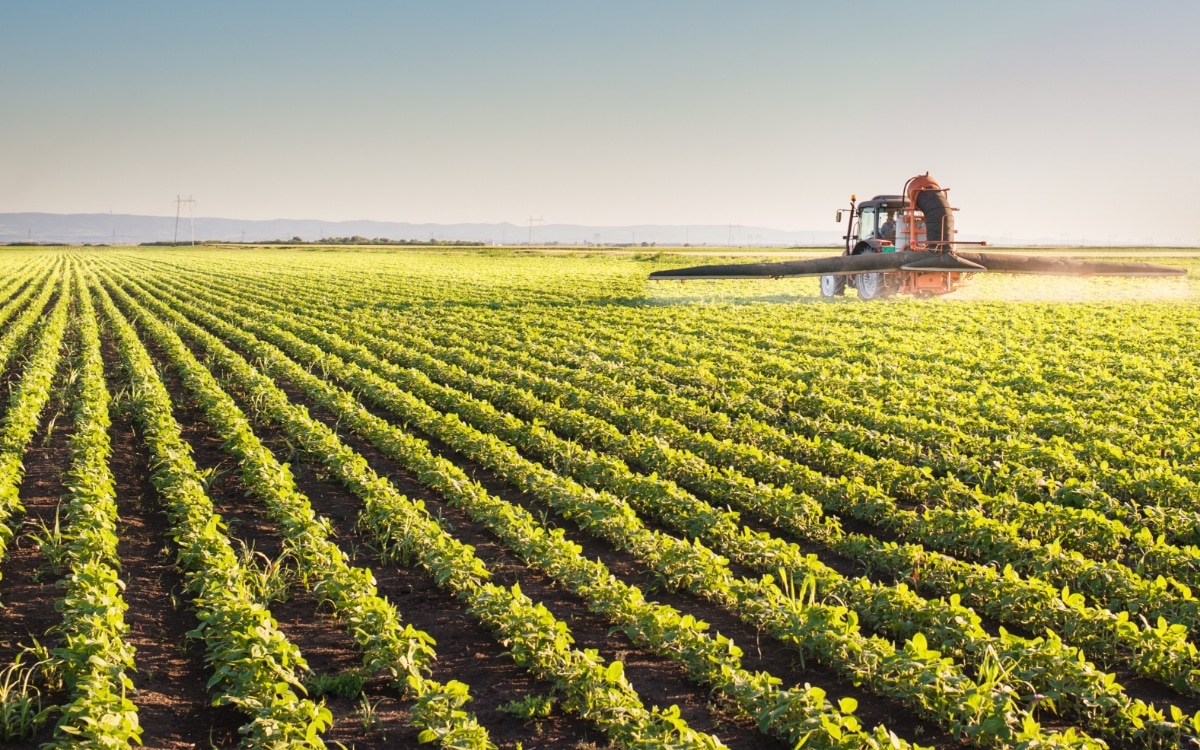 Bild von Frischebrüder GmbH