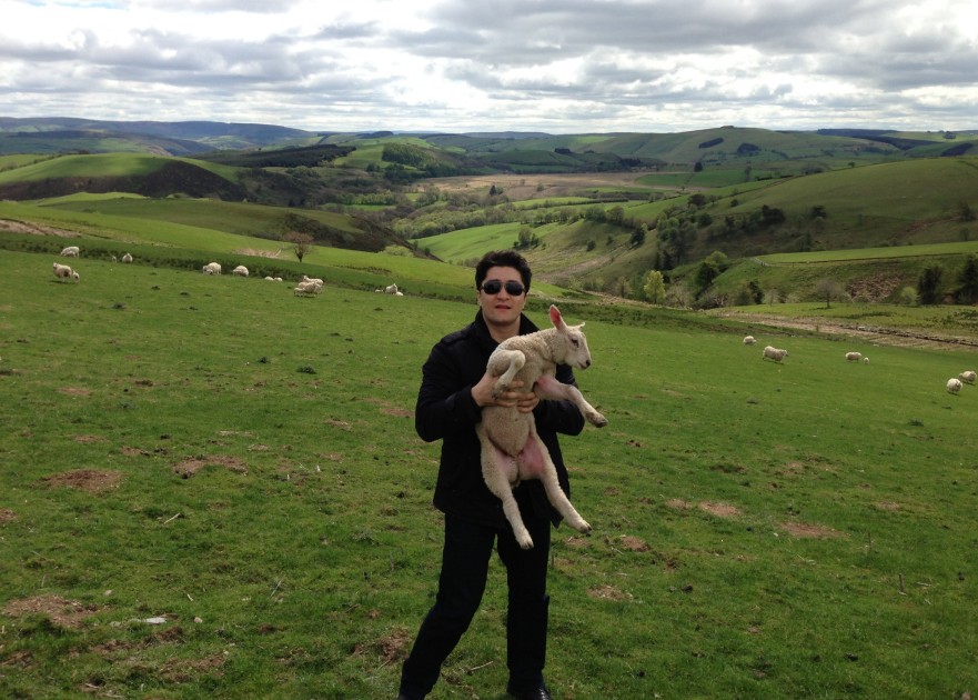 Bild von Ghorban Global GmbH