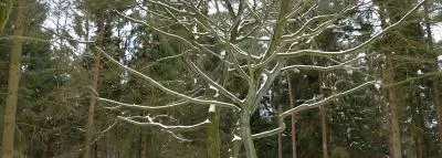 Bild von Grau sucht grün - Großhändler
