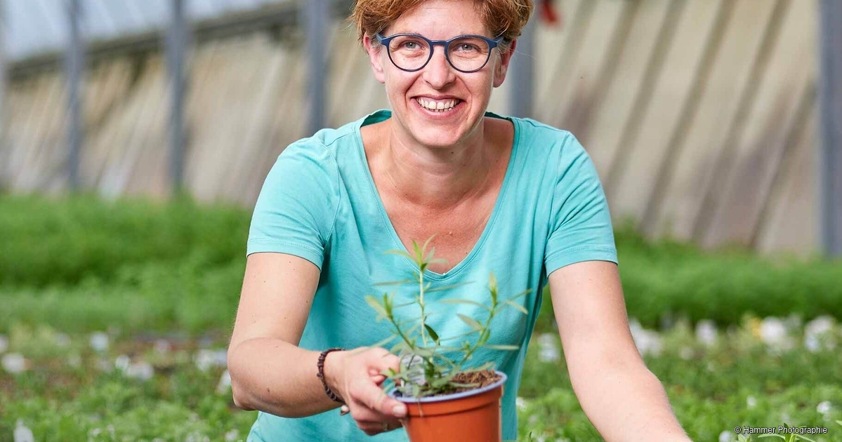 Bild von Link Frischgemüse & Topfkräuter GmbH