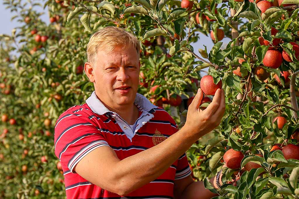 Bild von Recht Fruchtgroßhandel & Logistik GmbH & Co. KG