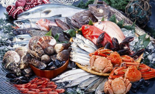 Bild von Solemare Fisch-Großhandel