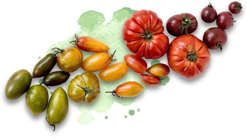 Bild von ST Obst & Gemüse Großhandel GmbH
