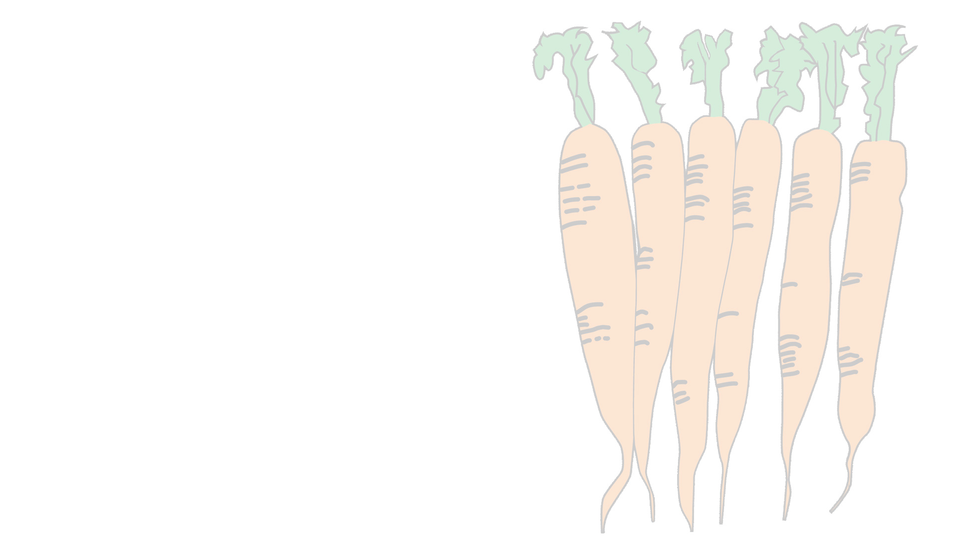 Bild von Terra Naturkost Handels KG