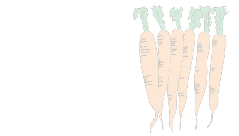 Bild von Terra Naturkost Handels KG