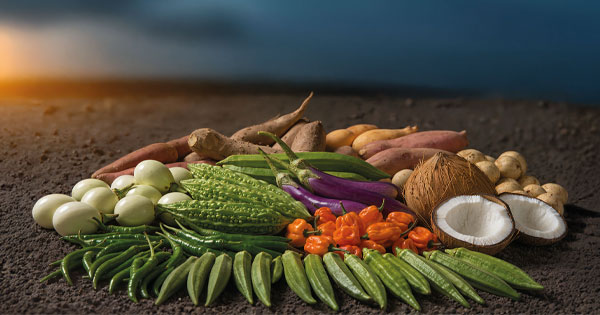 Bild von Transfood GmbH