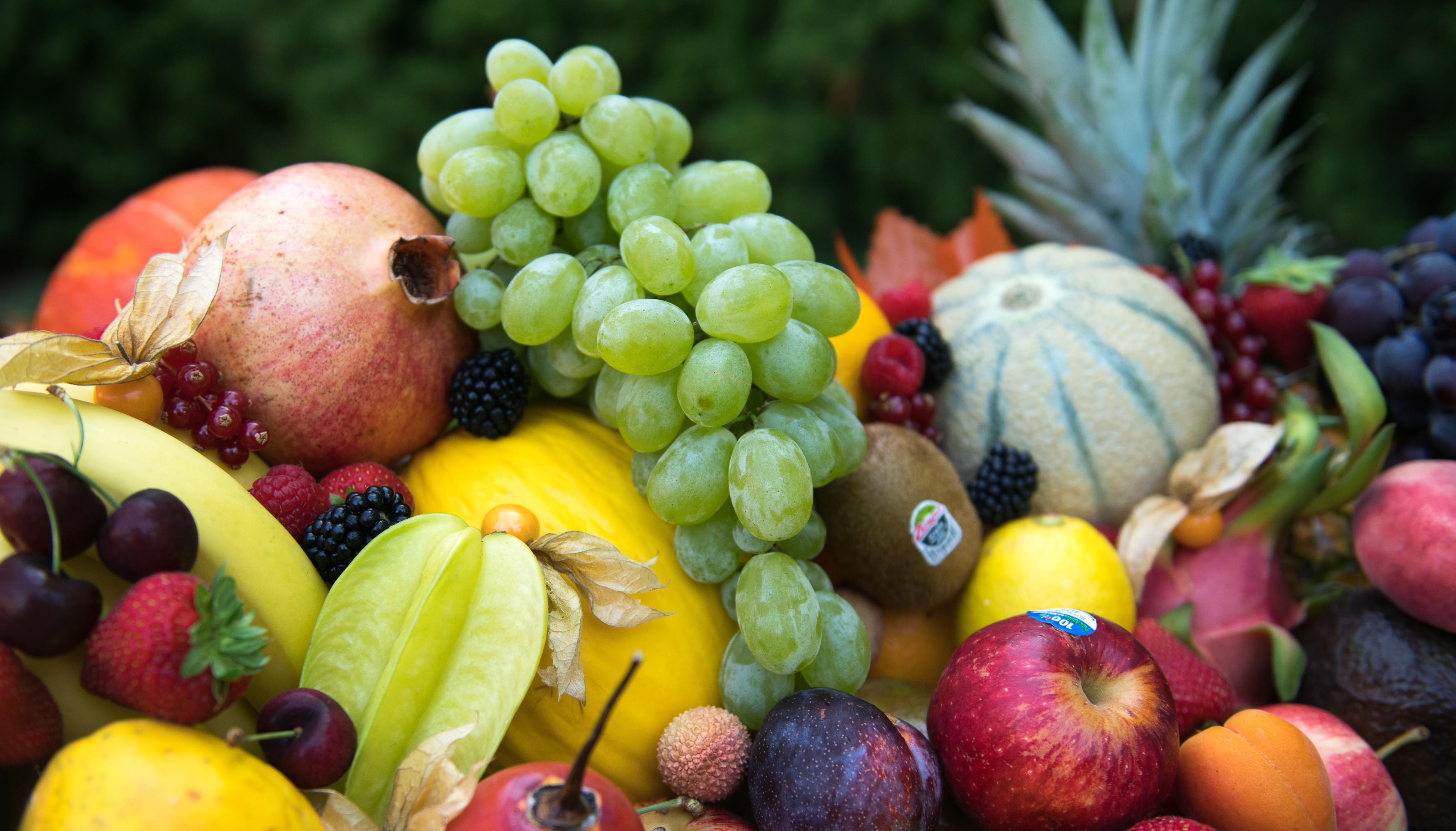 Bild von Walter Klunker Obst- und Gemüsegroßhandel GmbH