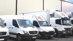 Logo von AFES GmbH Fleischgroßhandel