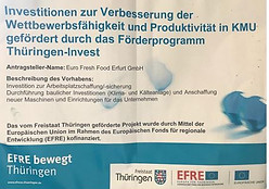 Logo von Euro Fresh Food