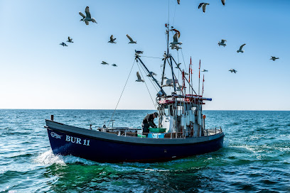 Logo von Frisch Gefischt GmbH