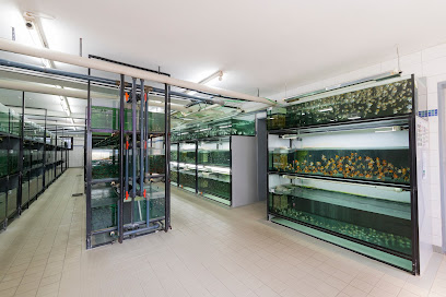 Logo von Zierfischgroßhandel G. Höner GmbH & Co. KG