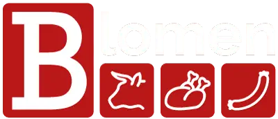 Blomens Food GmbH & Co. KG Logo