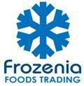 Frozenia GmbH Logo