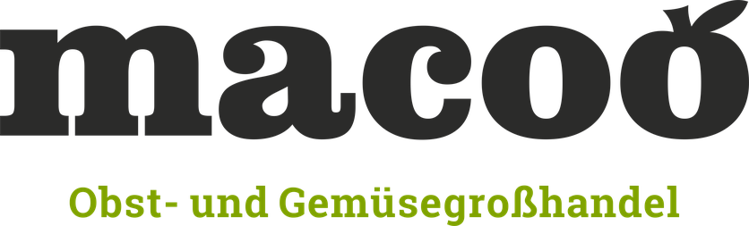 Macoo GmbH Leipzig Logo